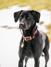 Load image into Gallery viewer, Brass Holly Leaf Dog ID Tag