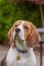 Load image into Gallery viewer, Bee Dog ID Name Tag
