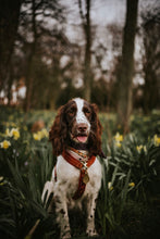 Load image into Gallery viewer, Brass Rain Drop Dog ID Tag