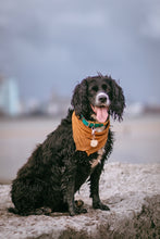 Load image into Gallery viewer, Sea Shell Dog ID Tag