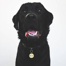 Load image into Gallery viewer, Brass Dog ID Name Tag
