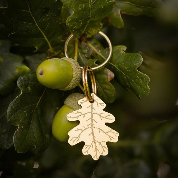 Brass Oak Leaf in Oak Tree