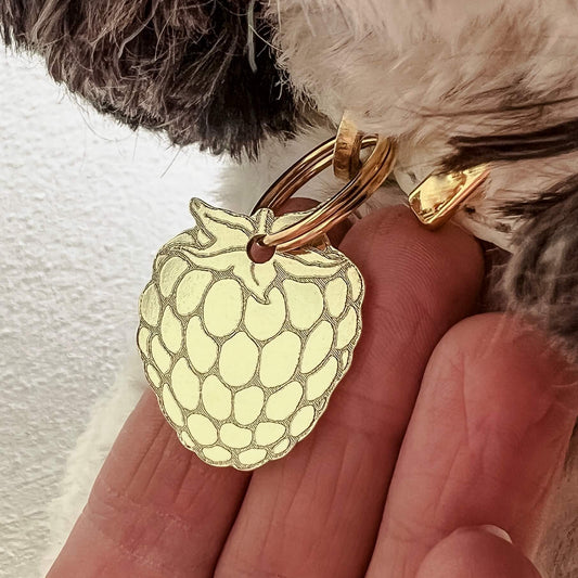White dog wearing collar with brass blackberry ID tag