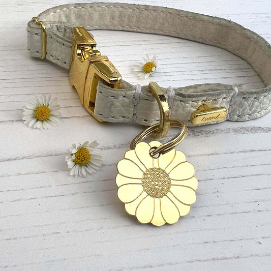 Dog collar with gold flower-shaped tag on a light wooden surface with daisies.