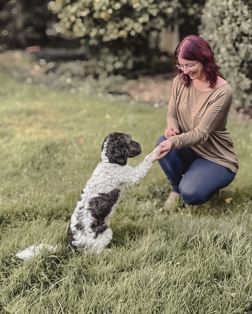 Girl Shaking Black and White Dogs Paw