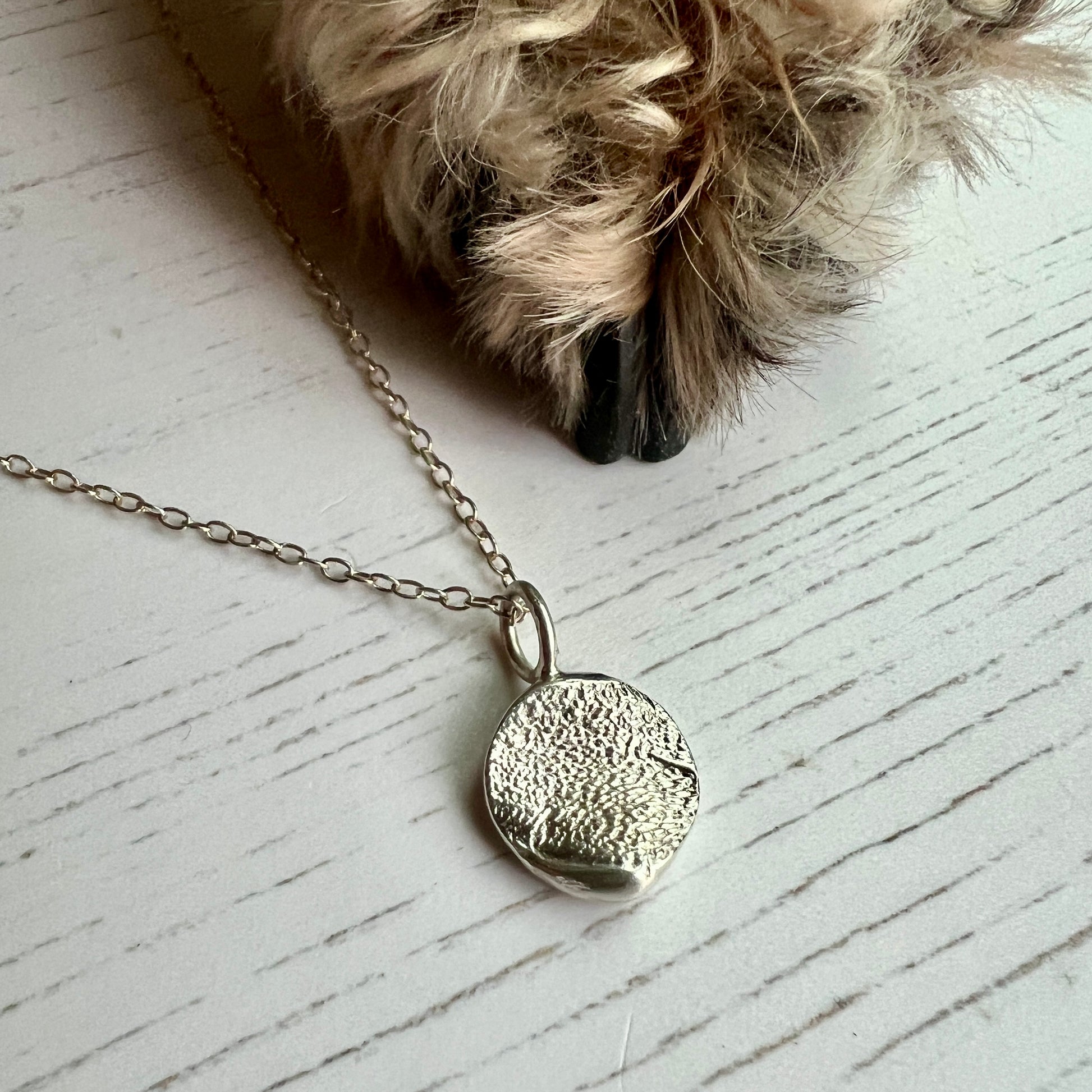 Silver textured pendant necklace on a white surface with a dogs paw in the background.