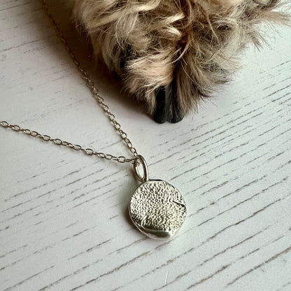 Silver textured pendant necklace on a white surface with a dogs paw in the background.
