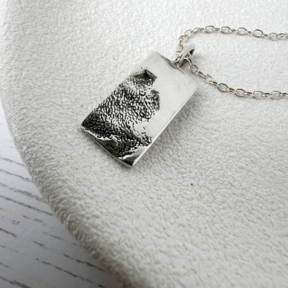 Silver necklace with a blackened textured pendant on a white surface