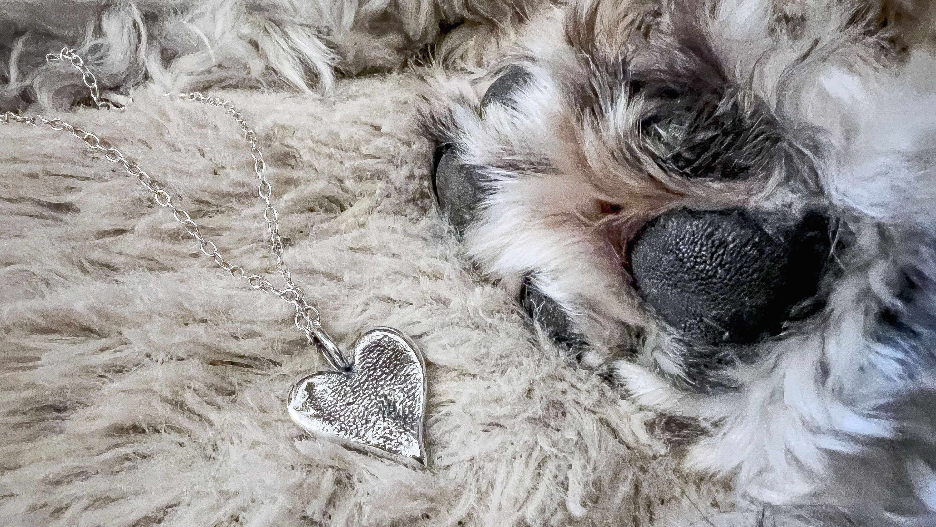 Dog lying on a fluffy surface with a silver heart-shaped pendant necklace.