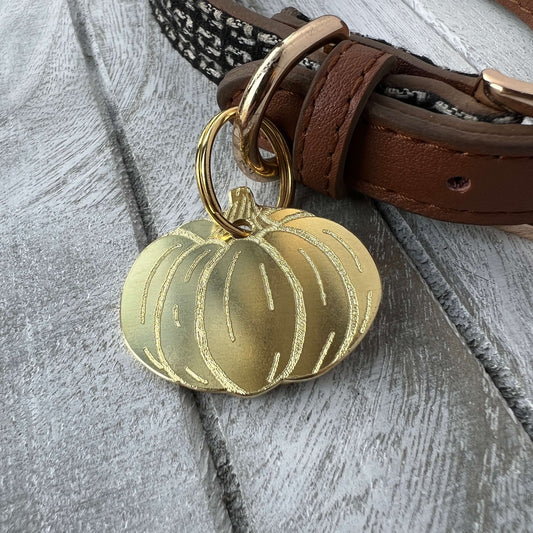Pumpkin Dog ID Tag