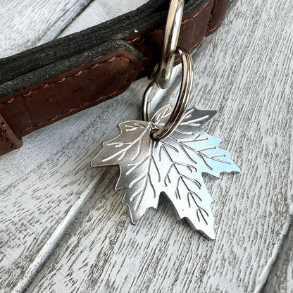 A silver metal maple leaf pet tag attached to a brown leather collar, shown on a weathered white wood surface.