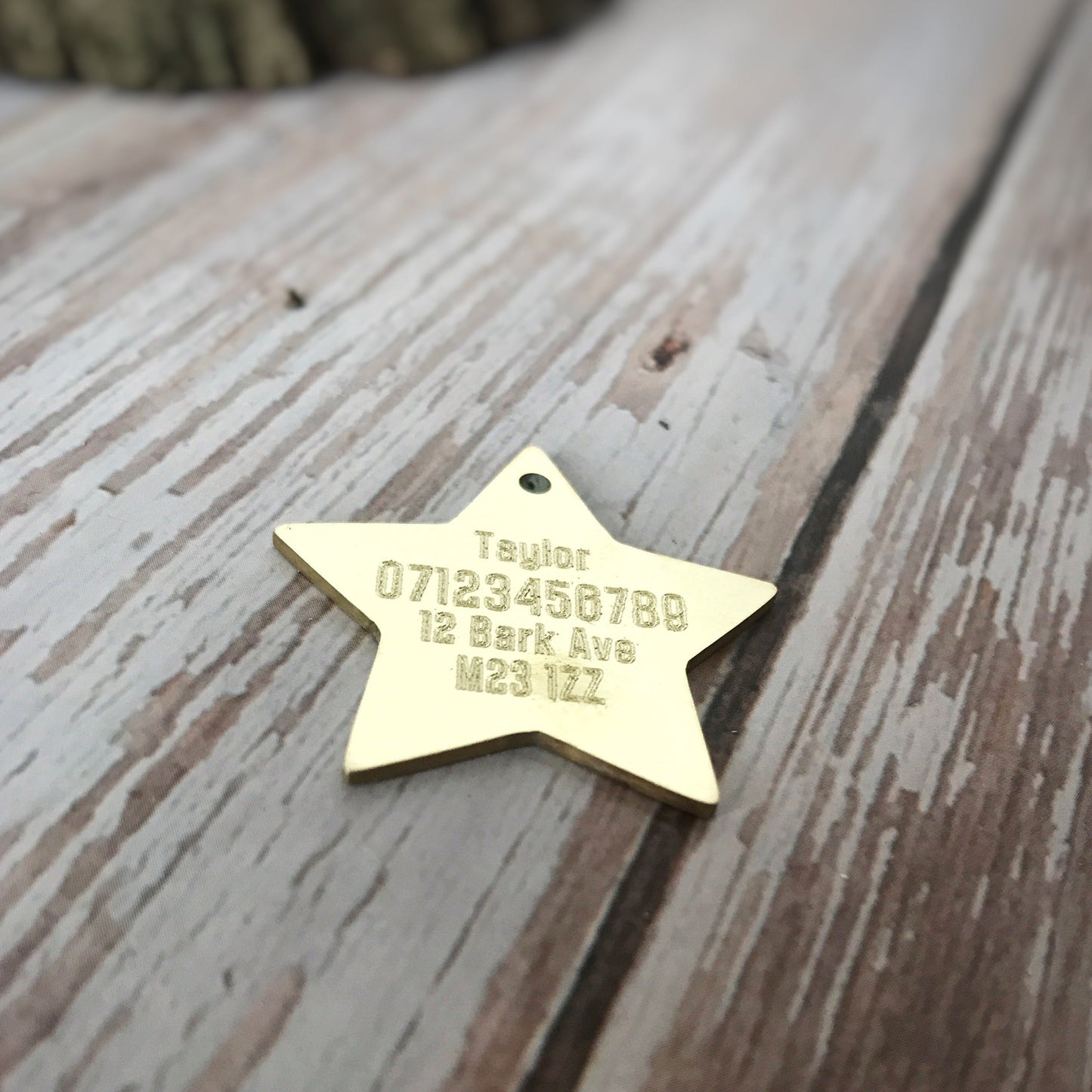 Hammered Brass Star Dog ID Tag
