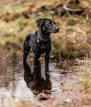 Load image into Gallery viewer, Half Moon Dog ID Name Tag
