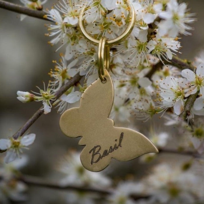 Butterfly Brass Dog ID Name Tag