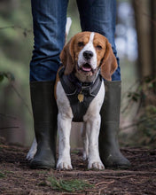 Load image into Gallery viewer, Spring Leaf Dog ID Tag
