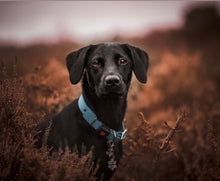 Load image into Gallery viewer, Silver Snowflake Dog ID Tag
