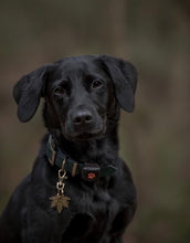 Load image into Gallery viewer, Maple Leaf Dog ID Name Tag
