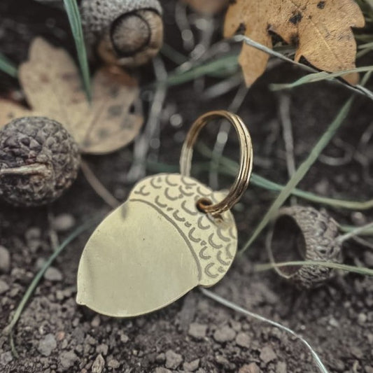 Brass Acorn Amongst Acorns and Leaves