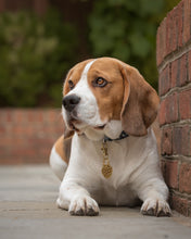 Load image into Gallery viewer, Brass Blackberry Dog ID Tag
