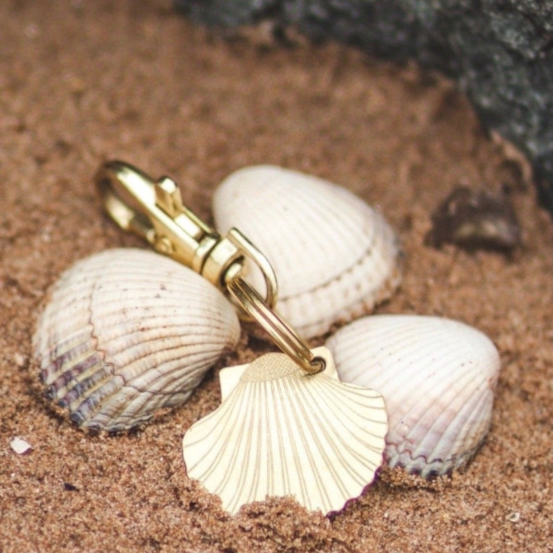 Brass Shell Amonst Real Shells on Beach