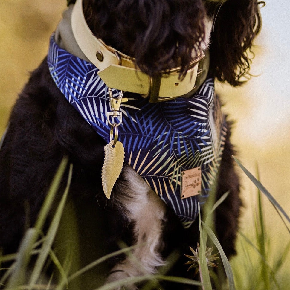 The Fern Bandana and Tag Bundle