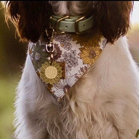 The Sunflower Bandana and Tag Bundle