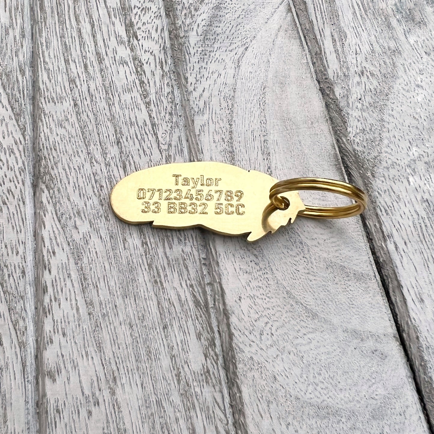 Brass Feather Dog ID Tag