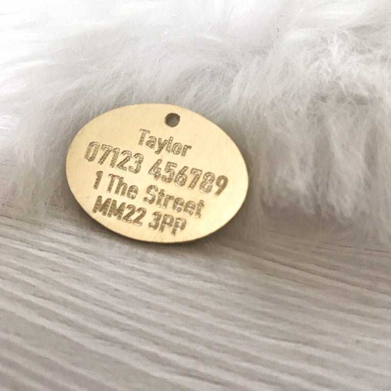 Brass Engraved Oval on White Background