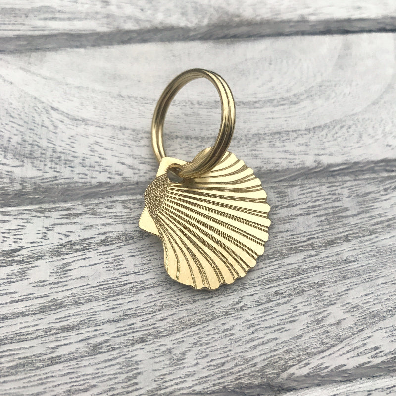 Brass Shell on Wooden Background