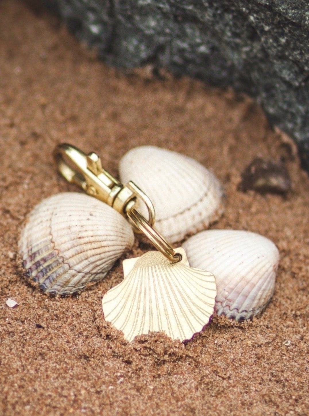 Sea Shell Dog ID Tag